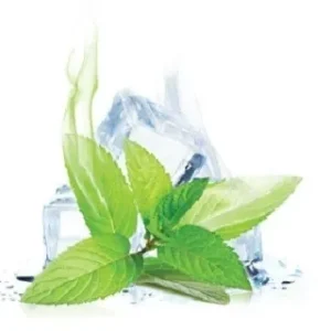 Epuff Concentrate - Menthol 10 ml.