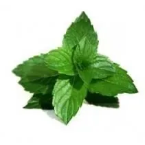 Epuff Concentrate - Mint Strong 10 ml.