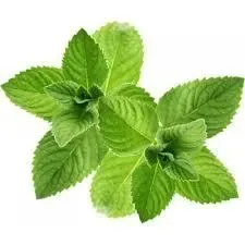 Epuff Shortfill - Mint Strong 30/ 10 ml